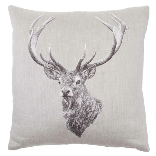 Grey Stag
