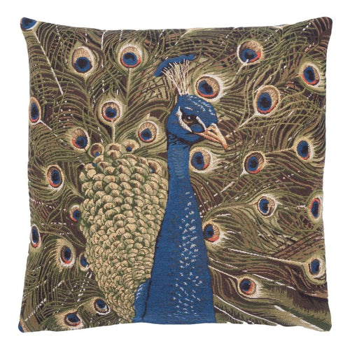 Peacock Cushion